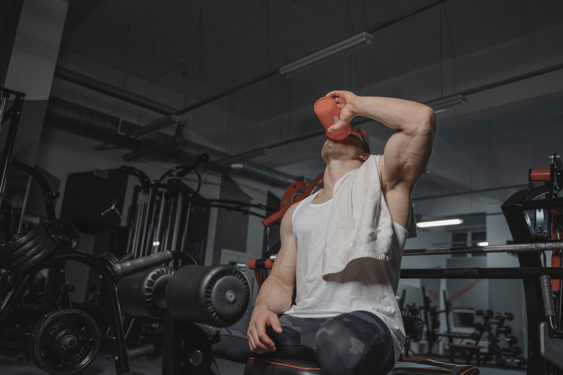 חלבון אבקת — תמונה: Tima Miroshnichenko (Pexels)